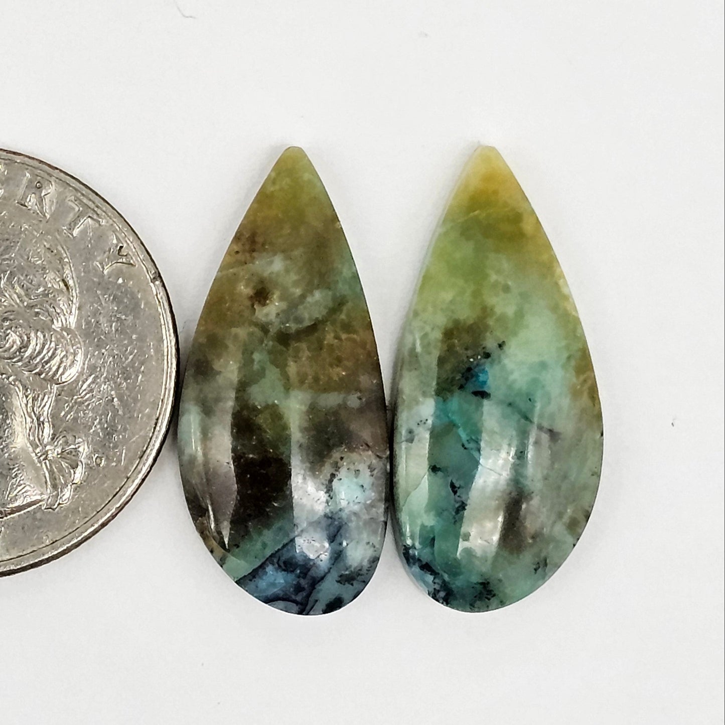 Blue Opal Petrified Wood Cabochon Pair