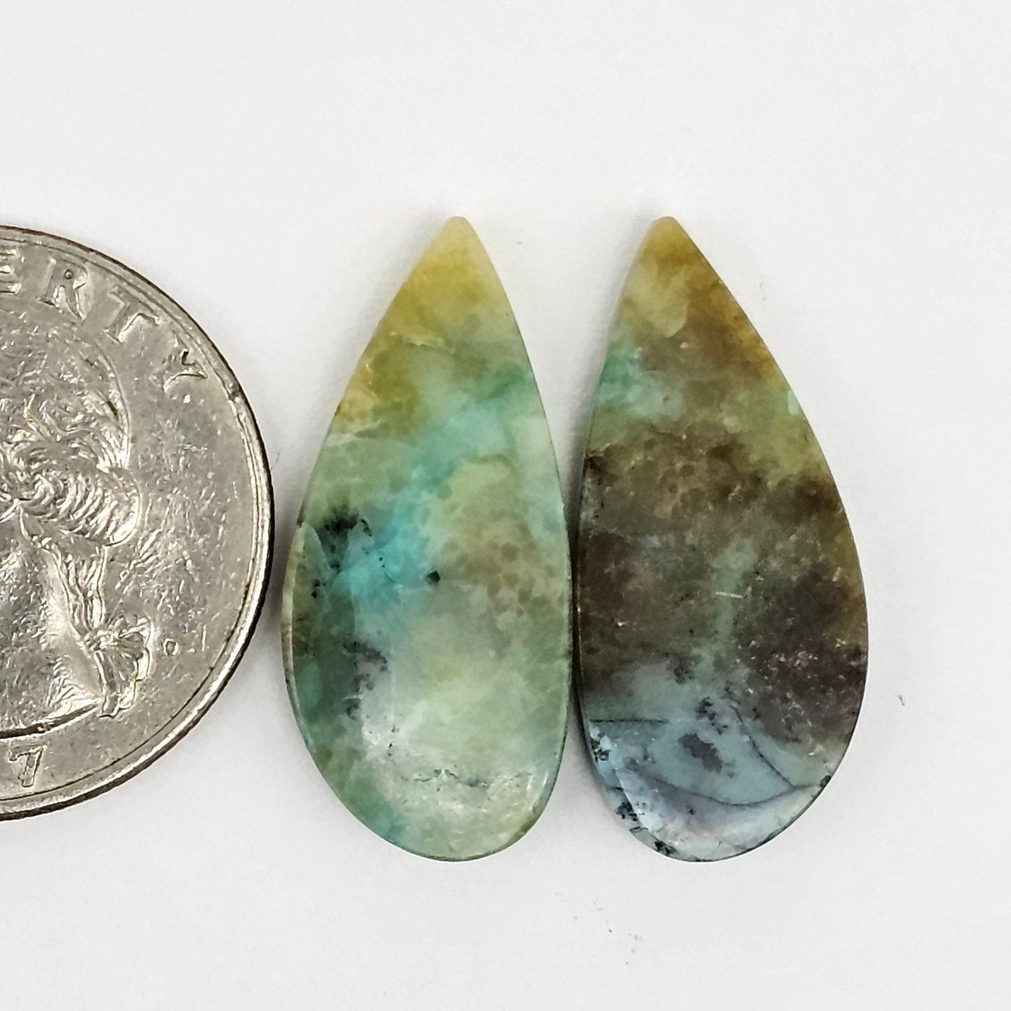 Blue Opal Petrified Wood Cabochon Pair