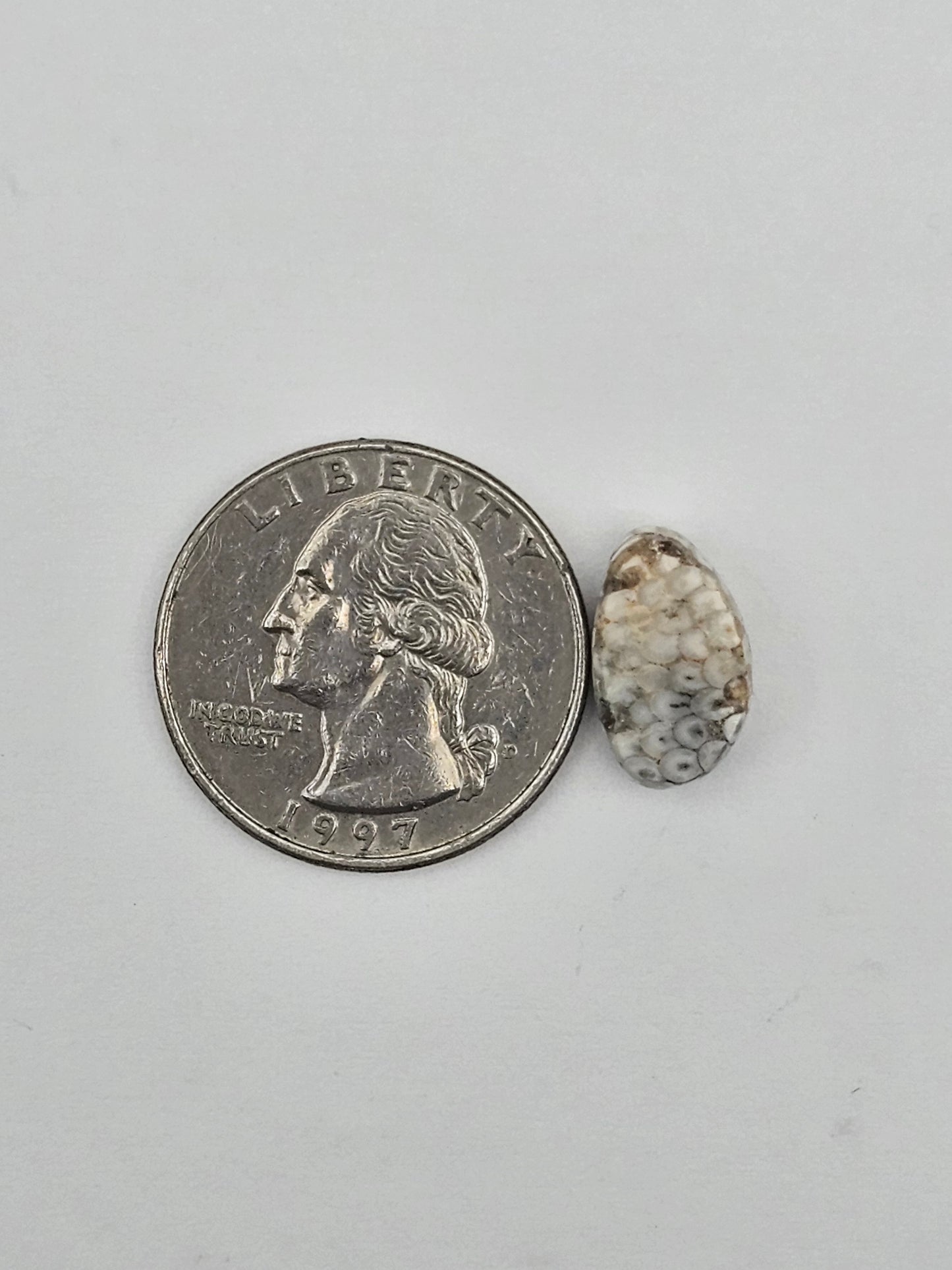 Snake skin agate cabochon