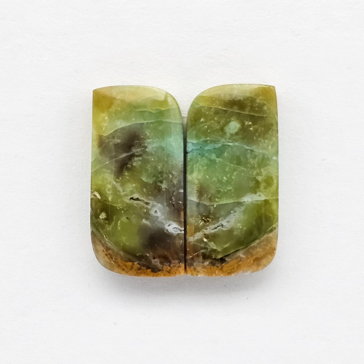 Blue Opal Petrified Wood Cabochon Pair