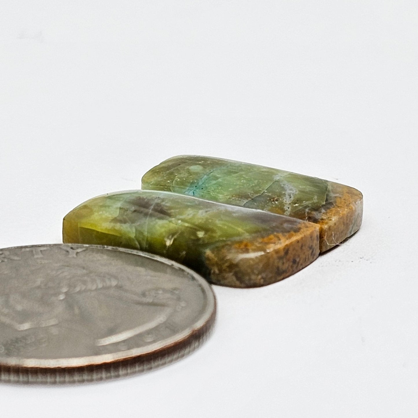 Blue Opal Petrified Wood Cabochon Pair