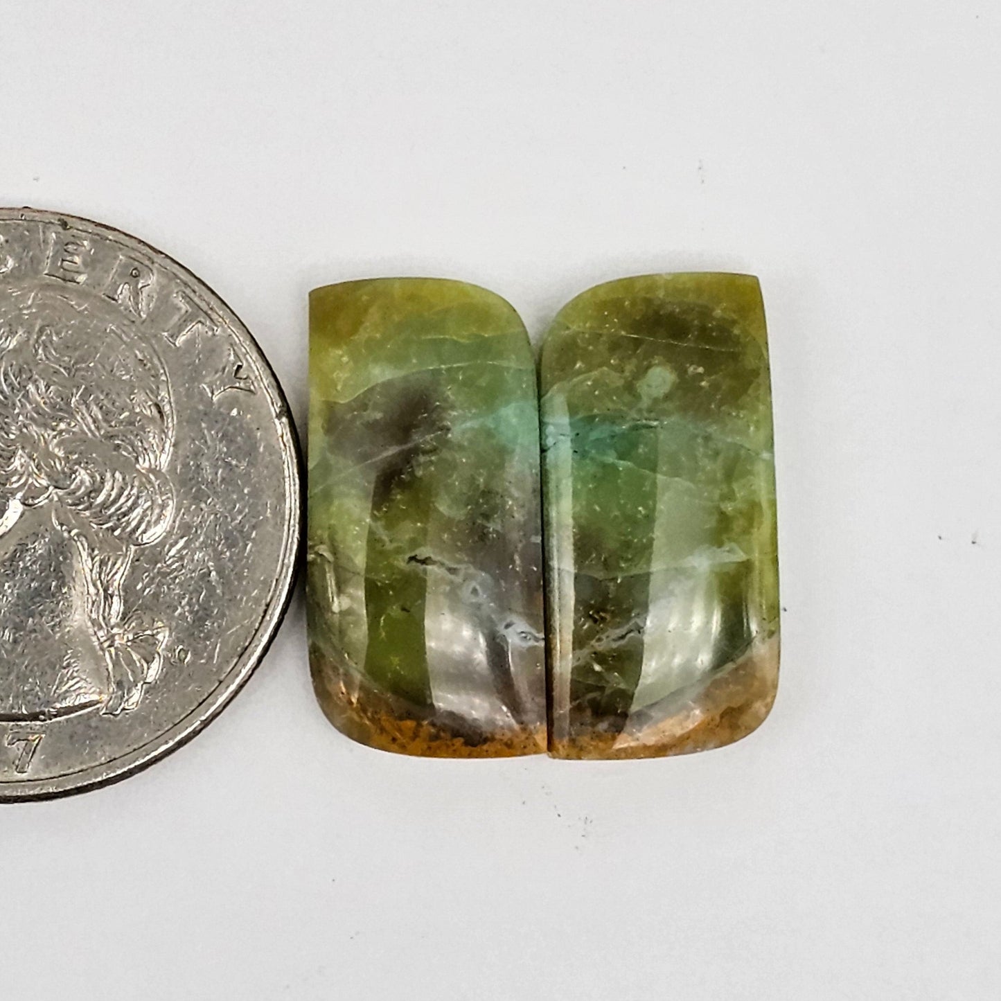 Blue Opal Petrified Wood Cabochon Pair