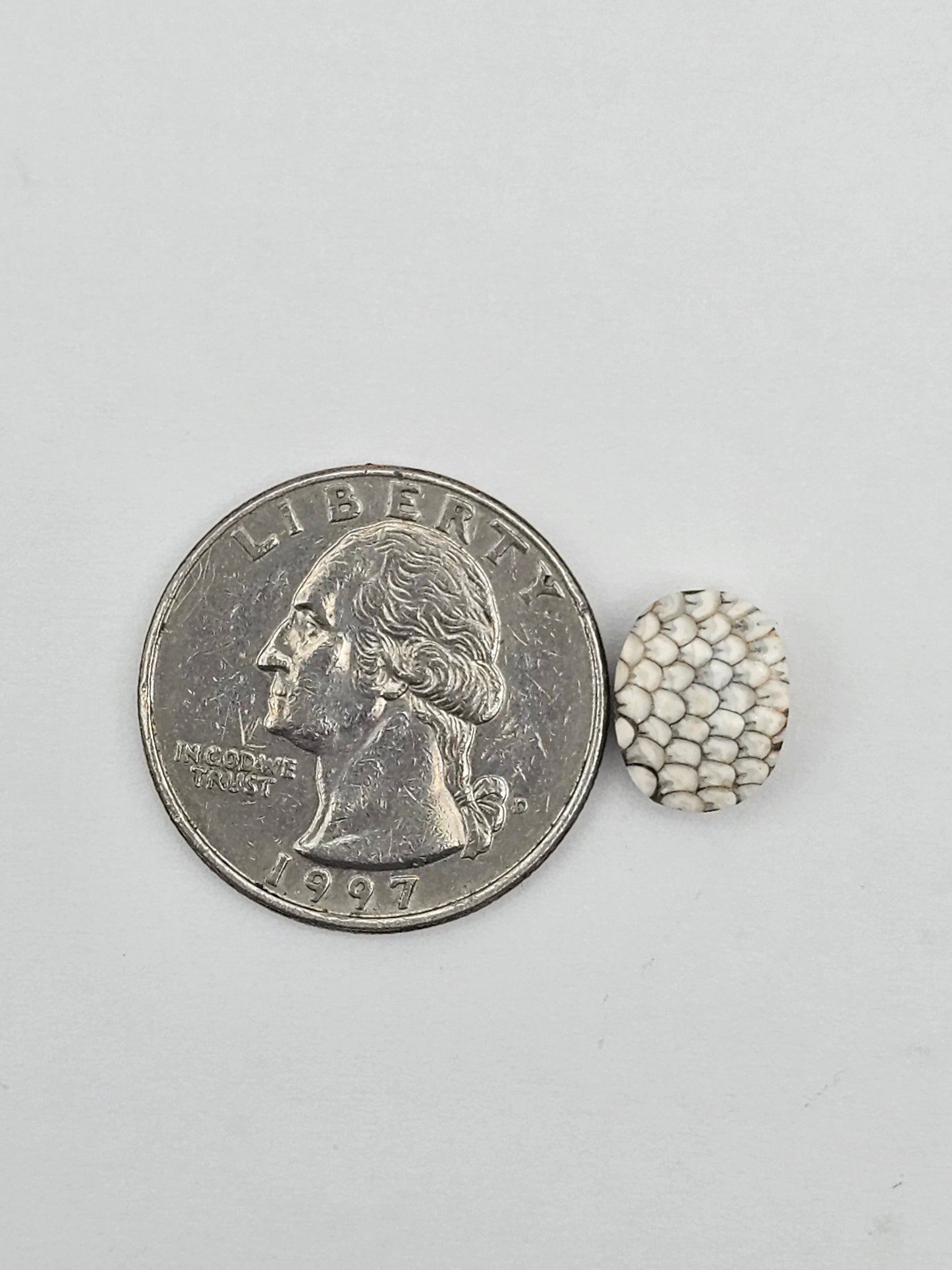 Snake skin agate cabochon