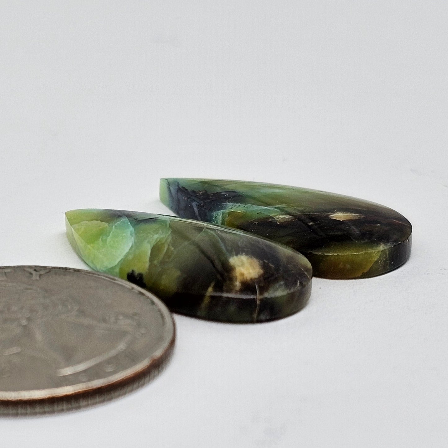 Blue Opal Petrified Wood Cabochon Pair