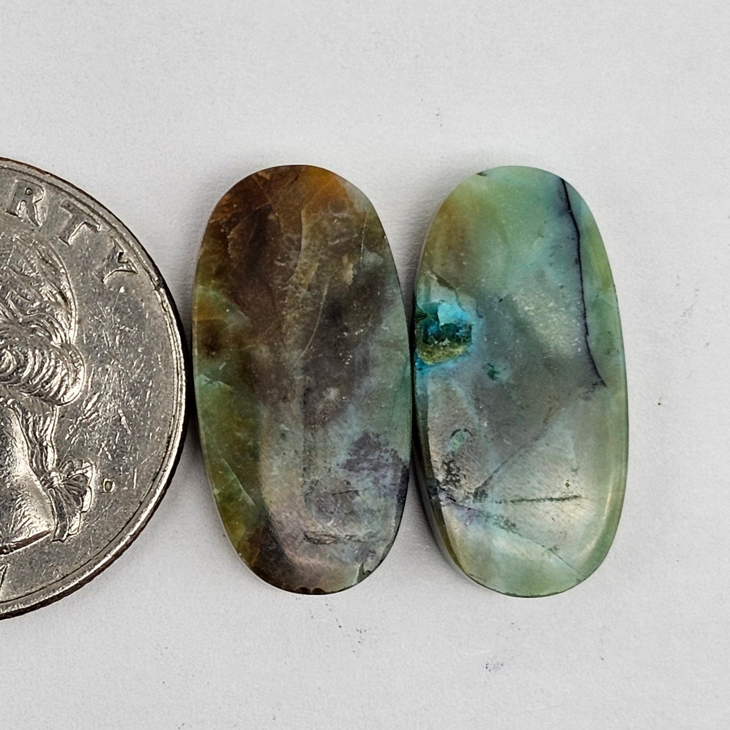 Blue Opal Petrified Wood Cabochon Pair
