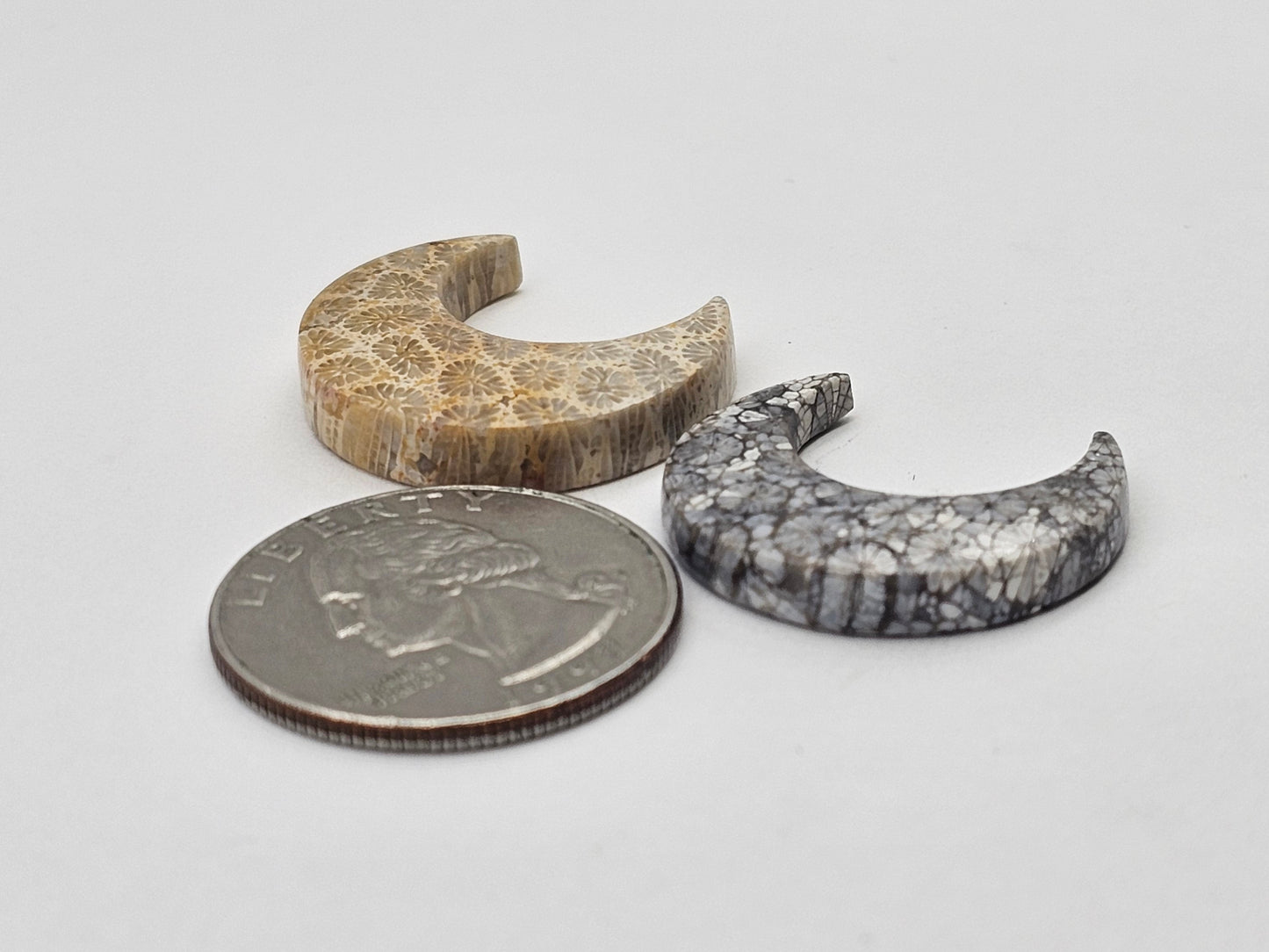 Fossilized Coral moon set