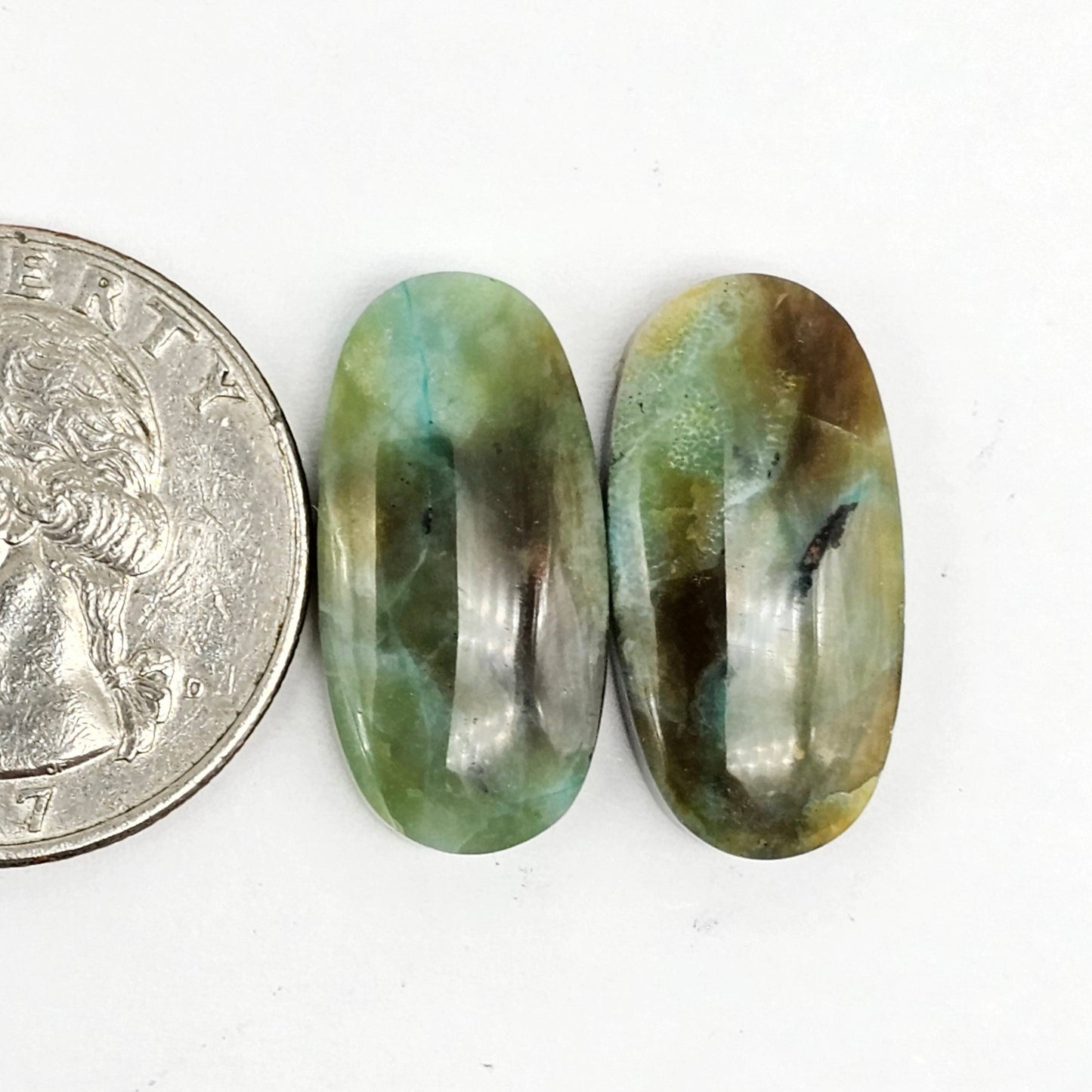 Blue Opal Petrified Wood Cabochon Pair