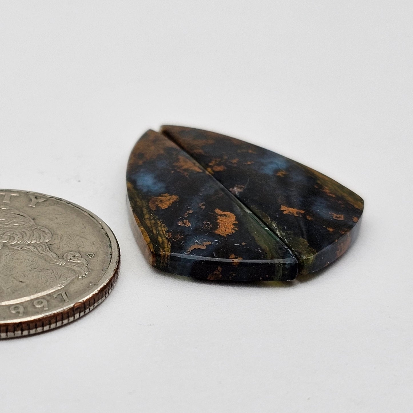 Blue opalized wood Cabochon Pair