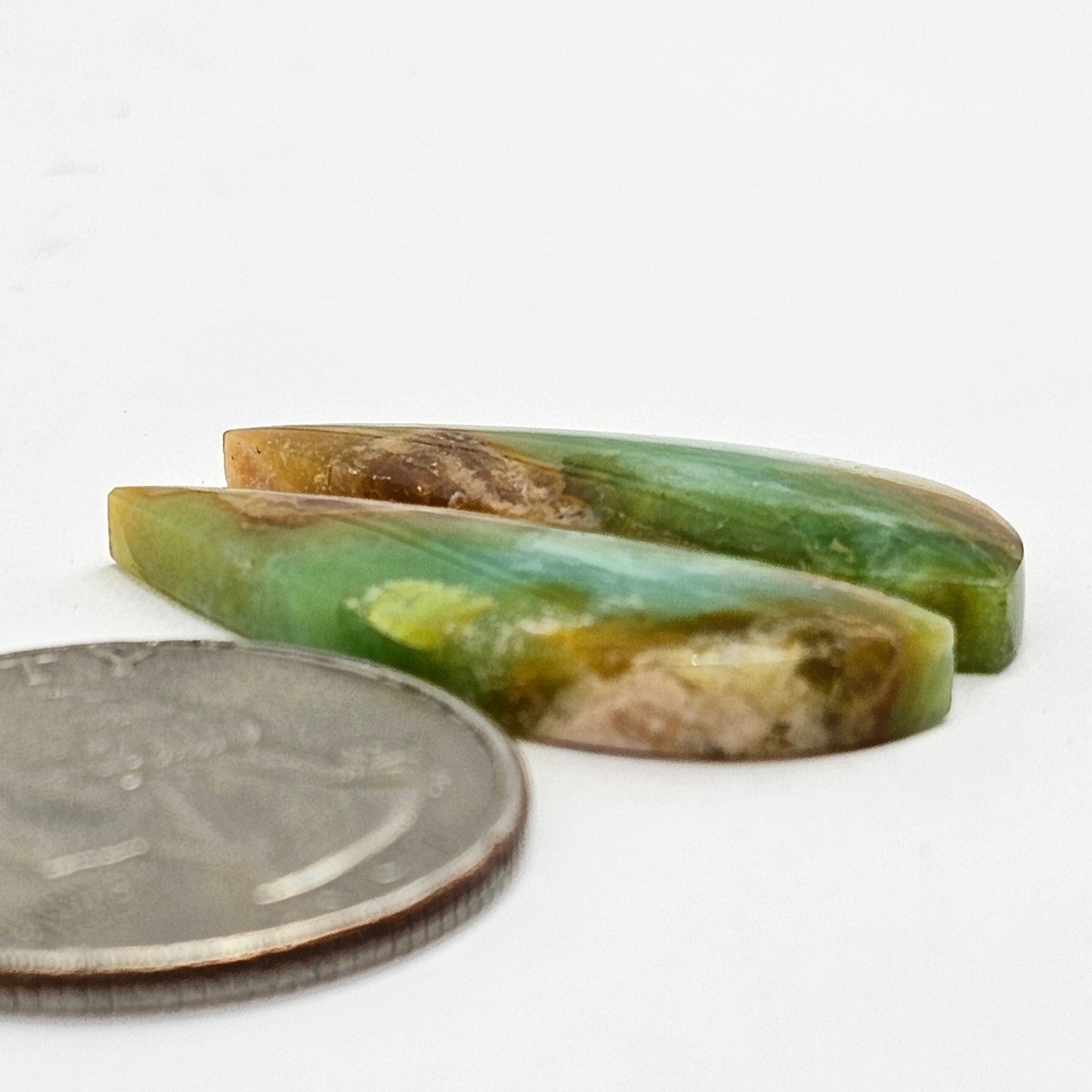 Blue Opal Petrified Wood Cabochon Pair