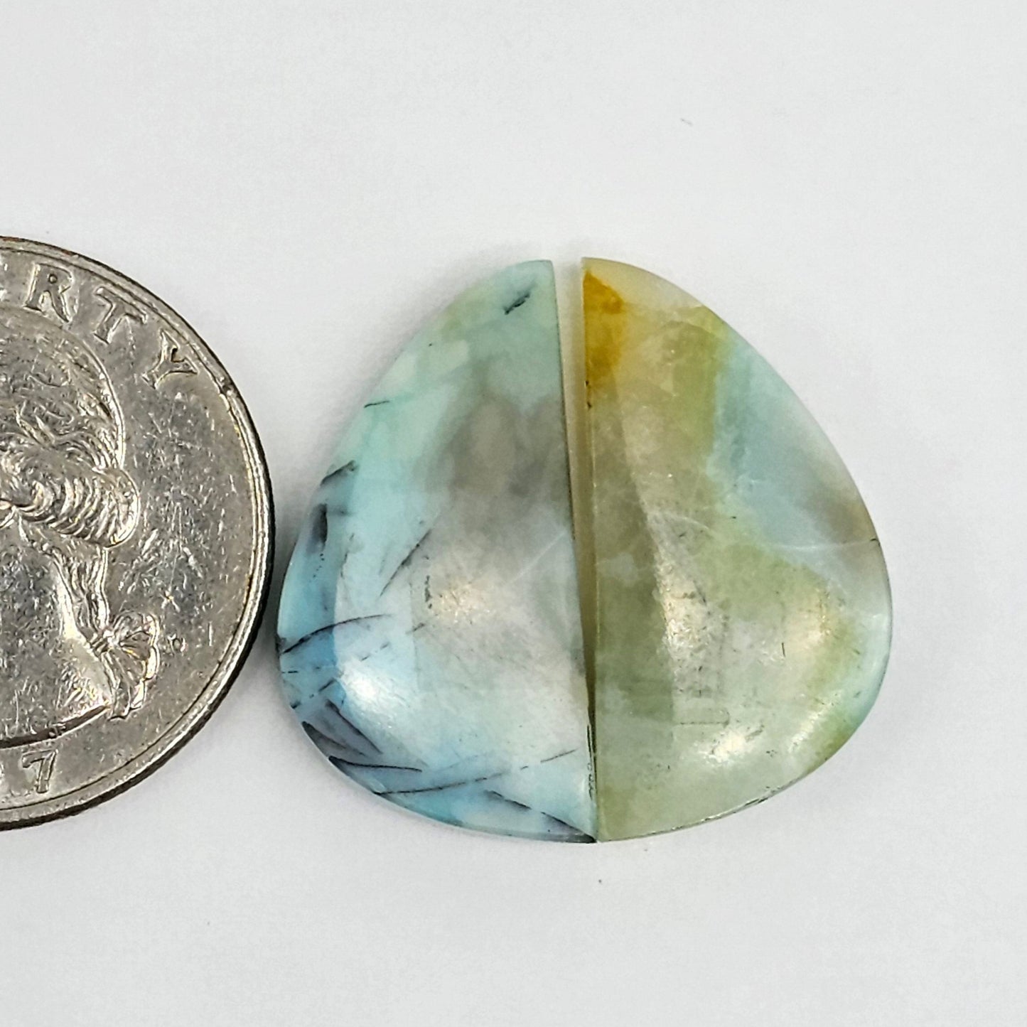 Blue Opal Petrified Wood Cabochon Pair