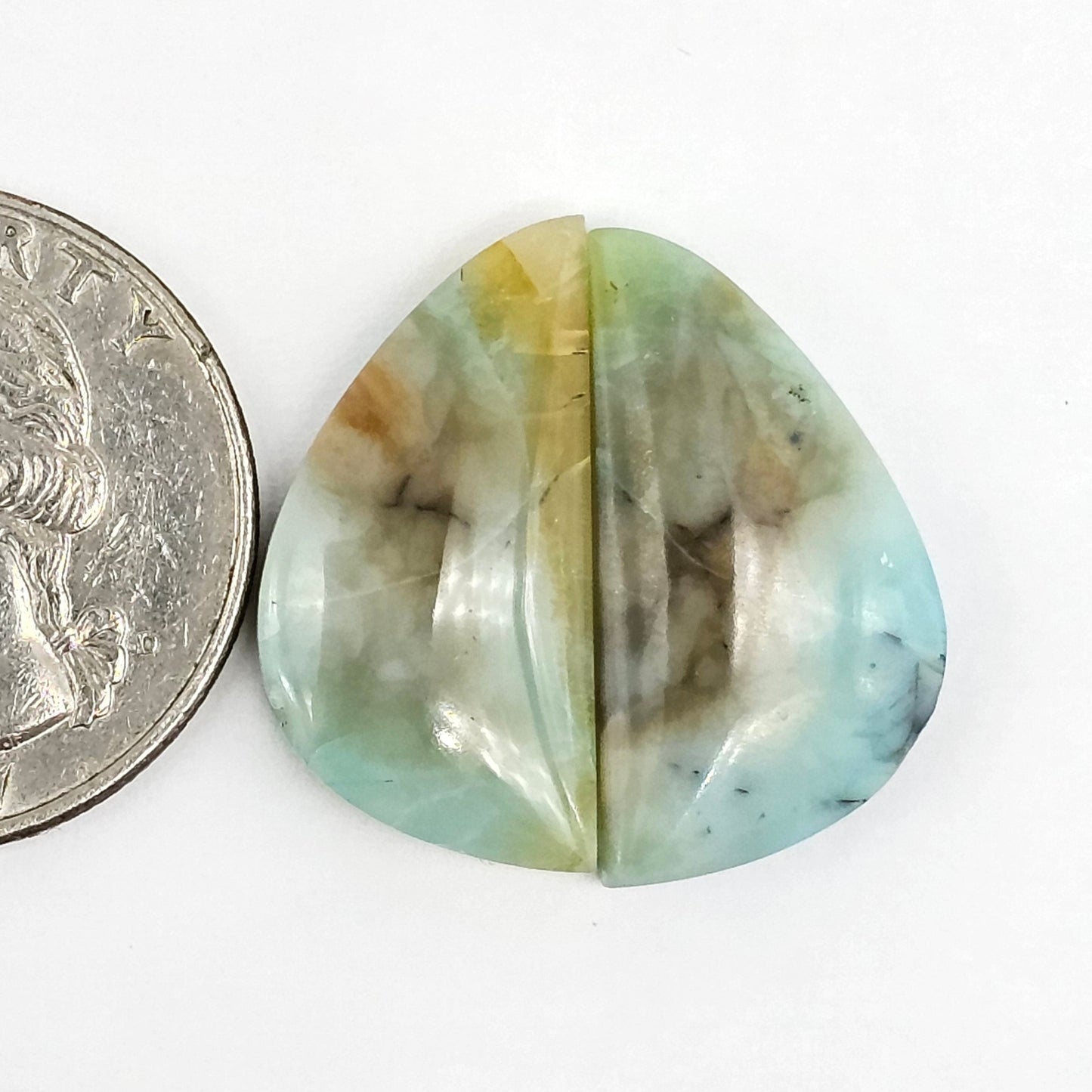 Blue Opal Petrified Wood Cabochon Pair