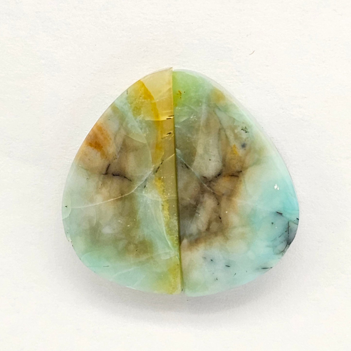 Blue Opal Petrified Wood Cabochon Pair