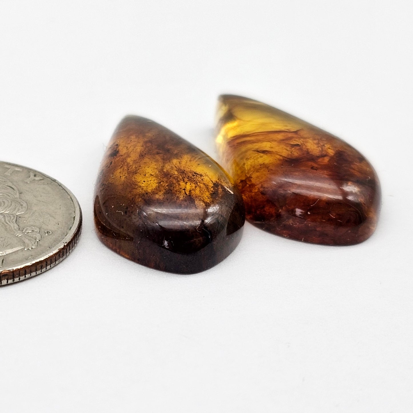 Amber authentic cabochon pair large