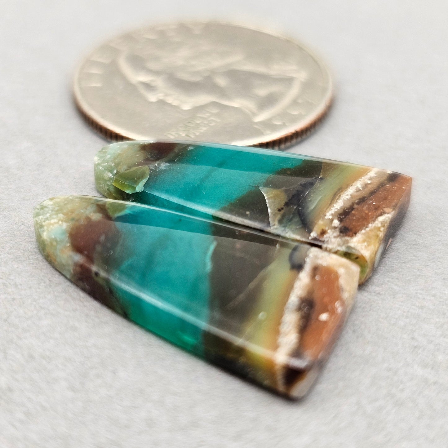 Blue opalized wood Cabochon pair