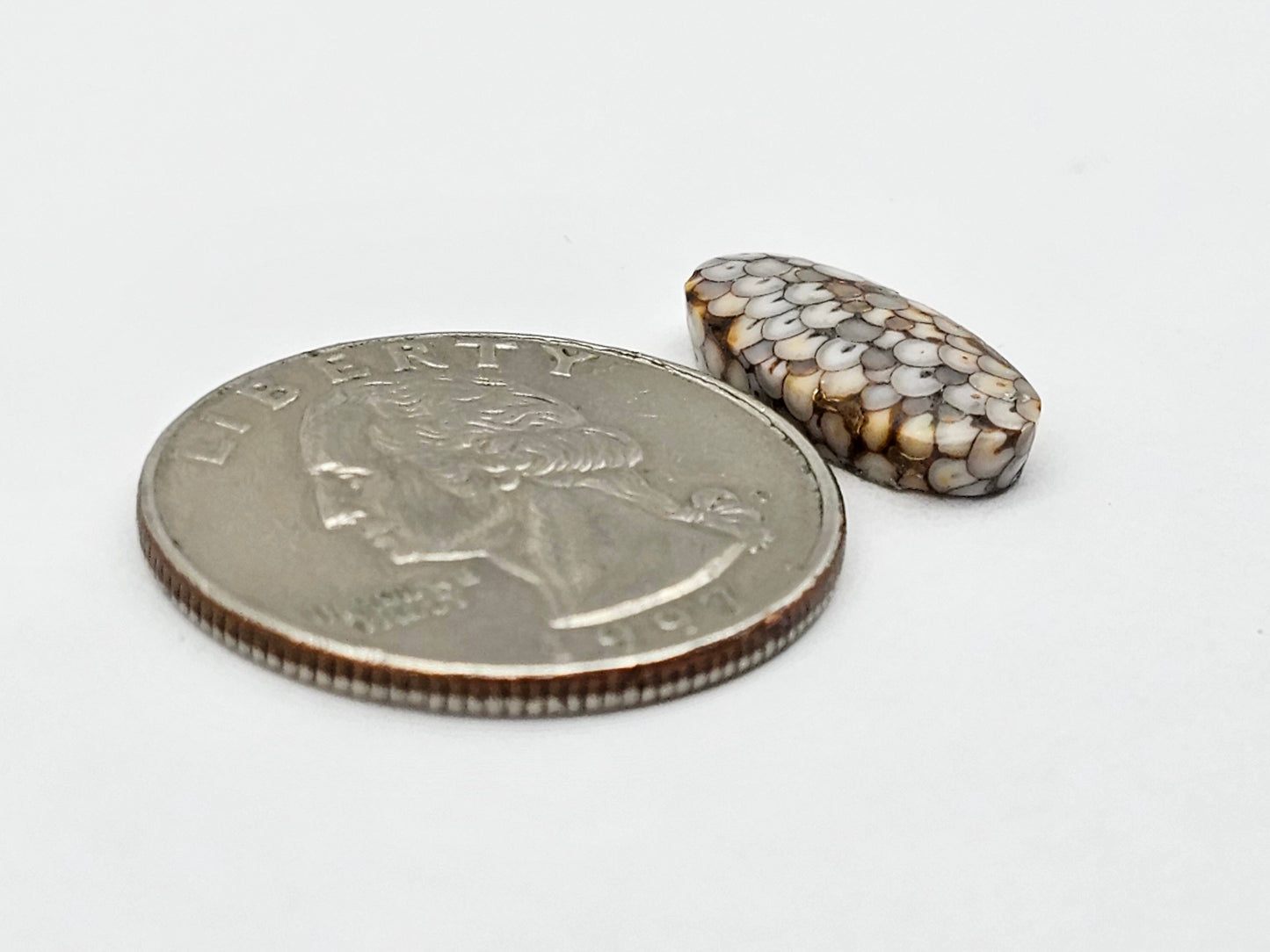 Snake skin agate cabochon large