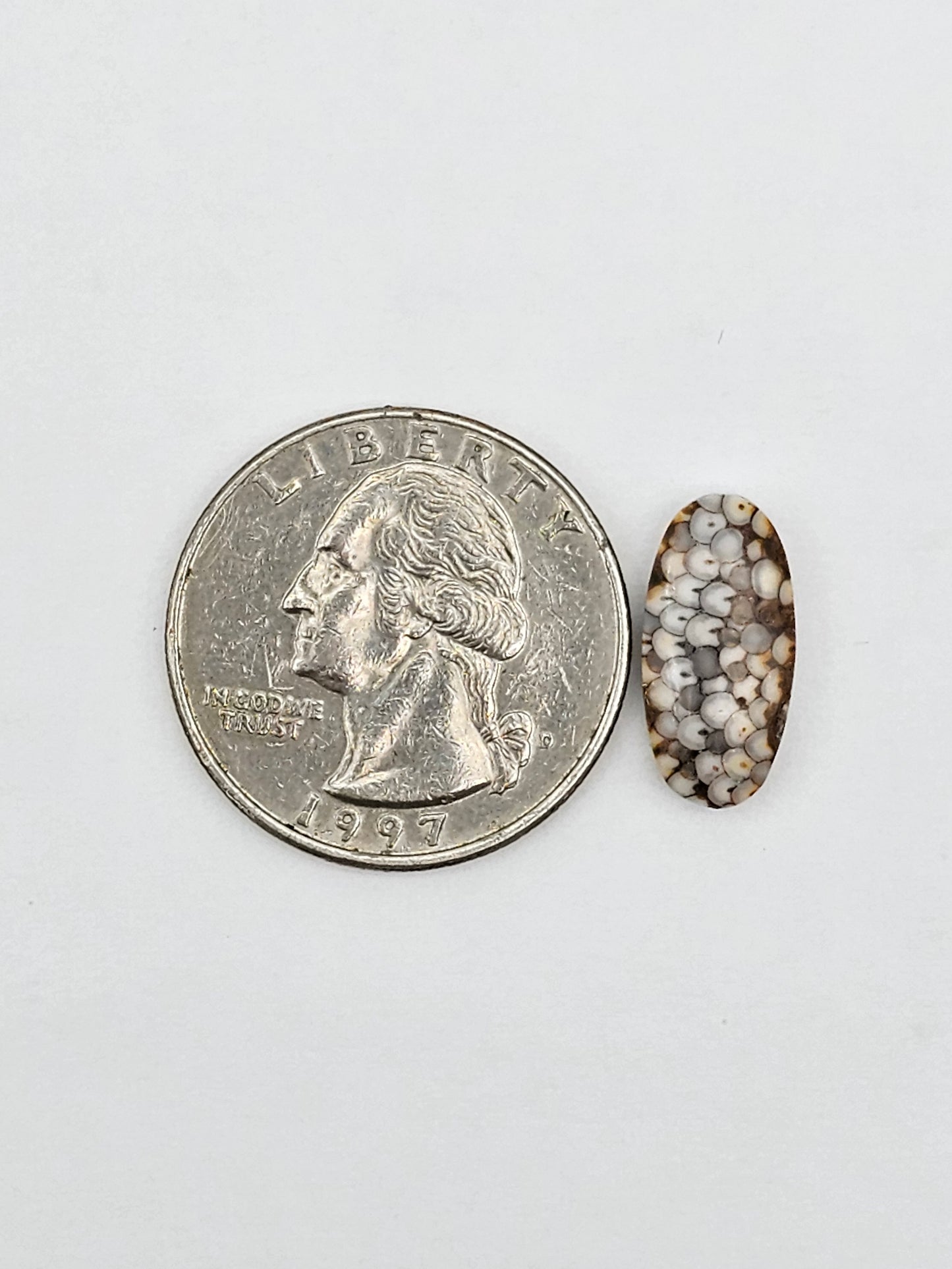Snake skin agate cabochon large