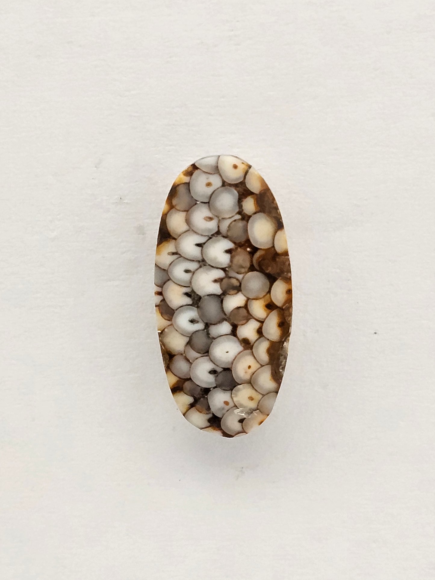 Snake skin agate cabochon large