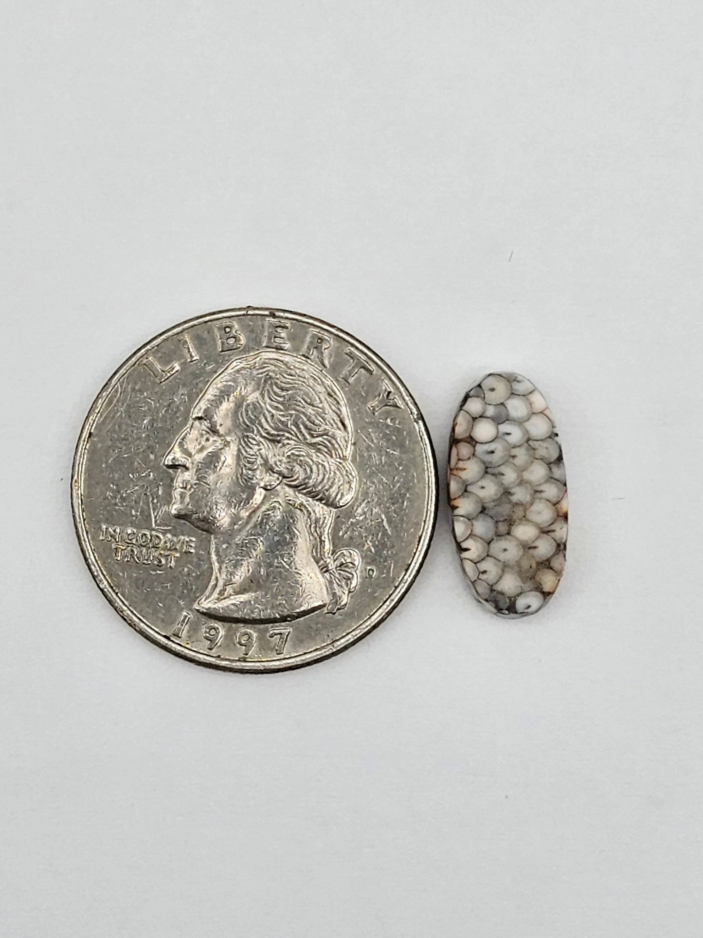 Snake skin agate cabochon large