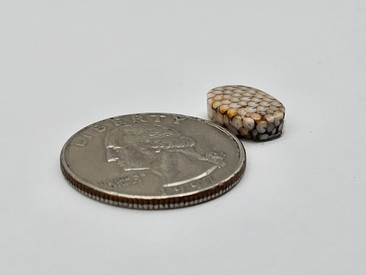 Snake skin agate cabochon