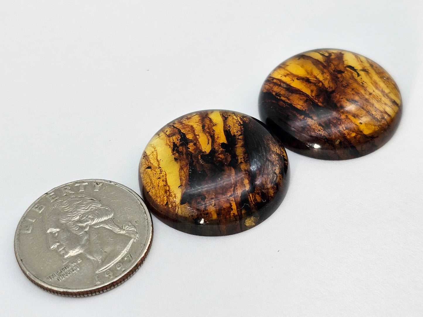 Amber authentic cabochon pair large