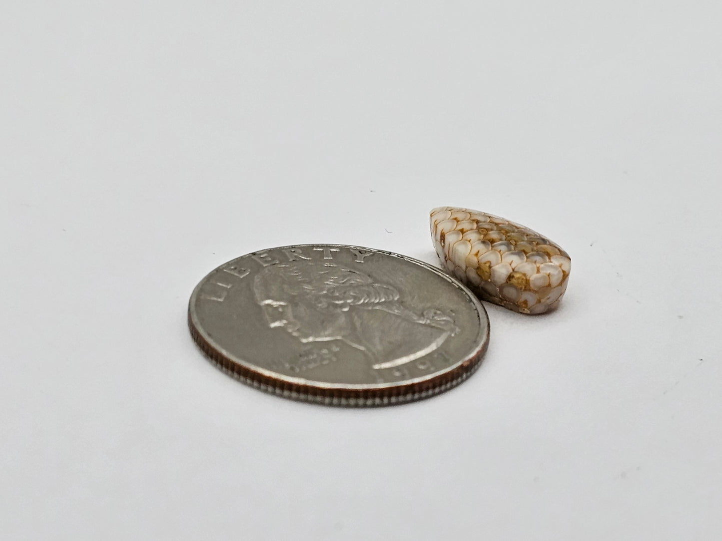 Snake skin agate cabochon