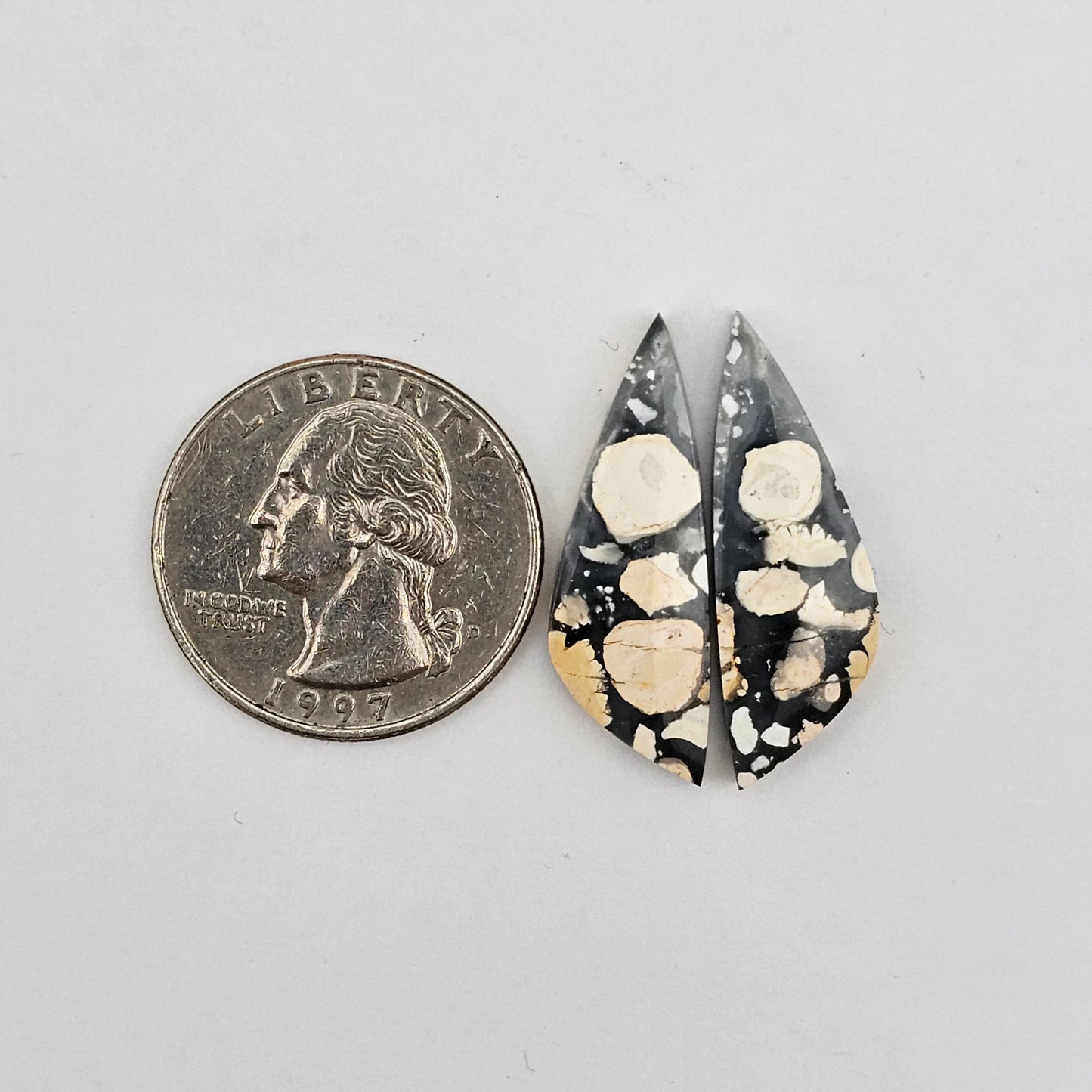Maligano Jasper cabochon pair