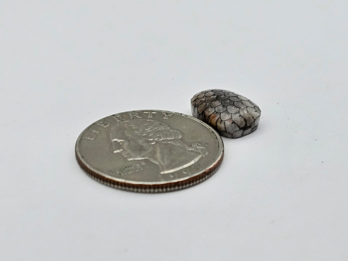 Snake skin agate cabochon