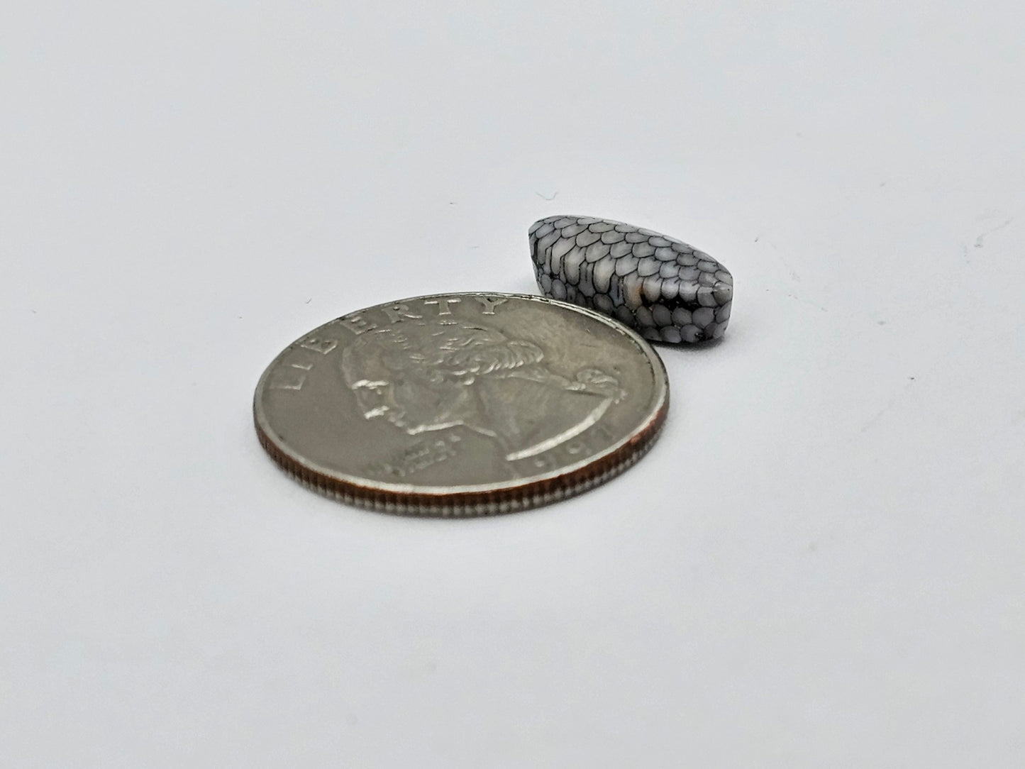 Snake skin agate cabochon