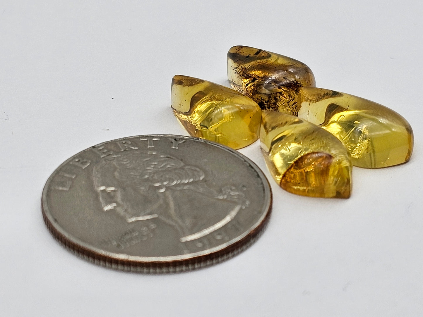 Amber authentic cabochon pair lot