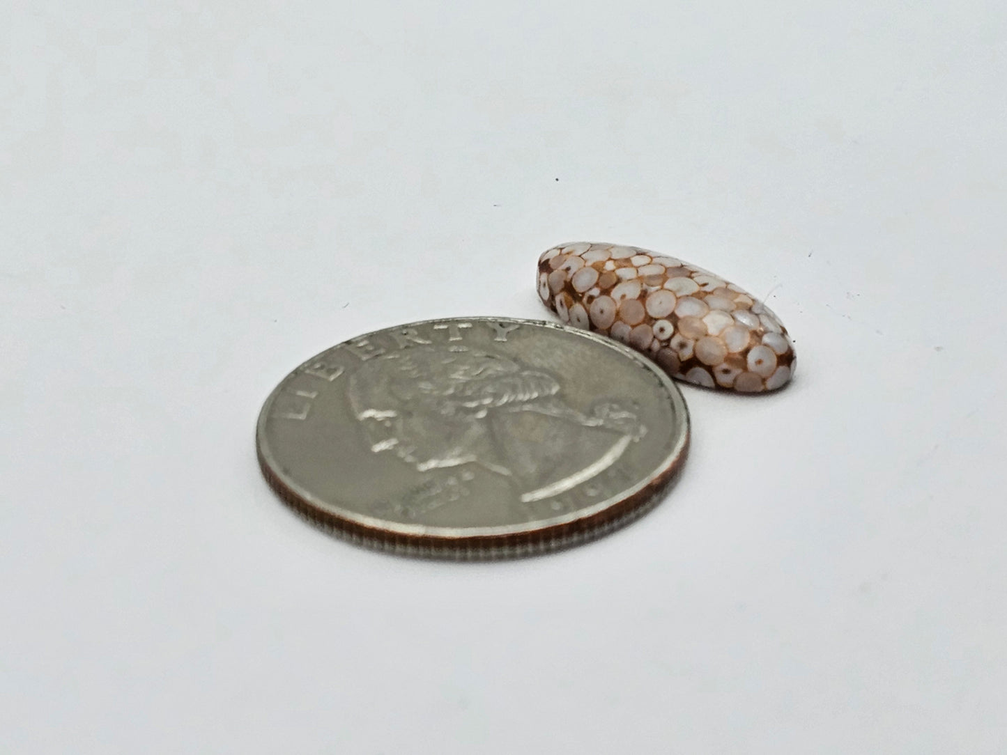 Snake skin agate cabochon