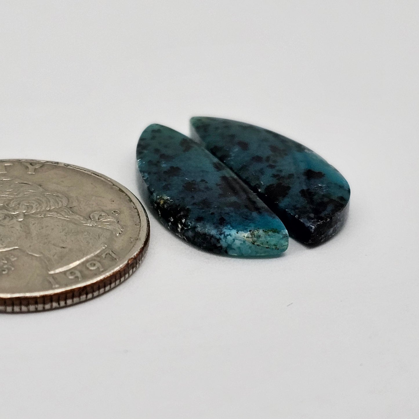 Blue opalized wood Cabochon Pair