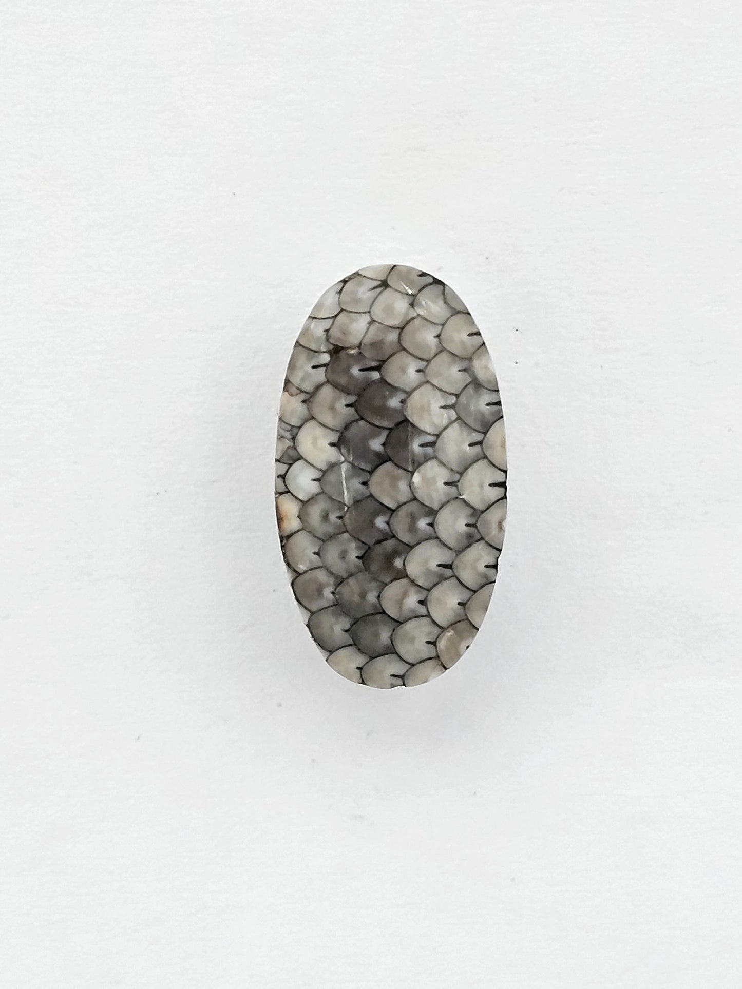 Snake skin agate cabochon