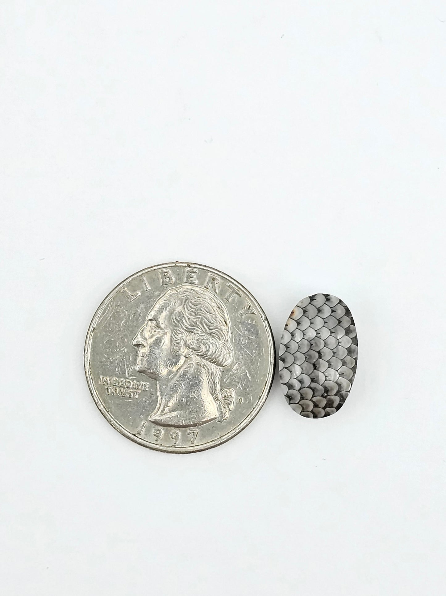 Snake skin agate cabochon