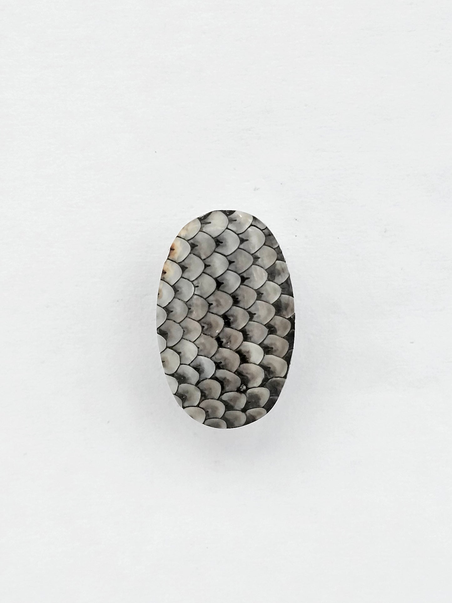 Snake skin agate cabochon