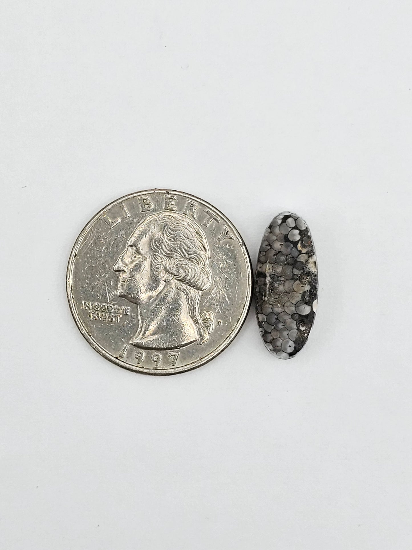 Snake skin agate cabochon large