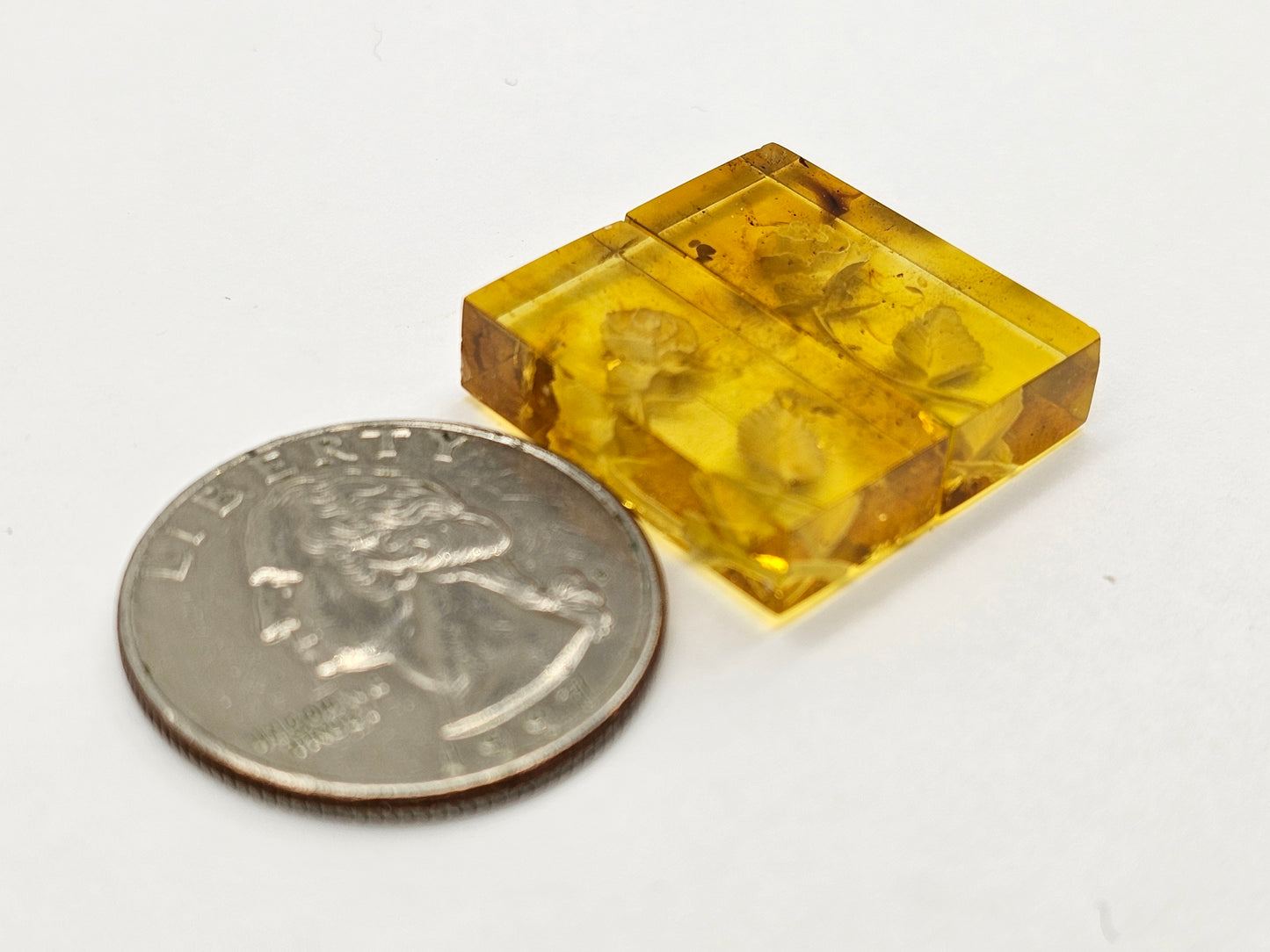 Amber authentic intaglio cabochon pair large