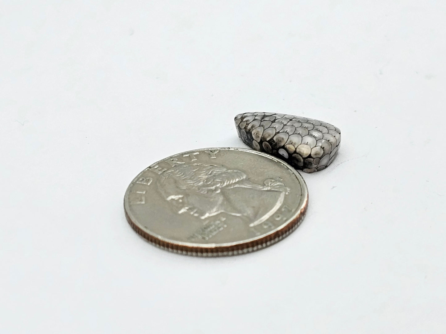 Snake skin agate cabochon