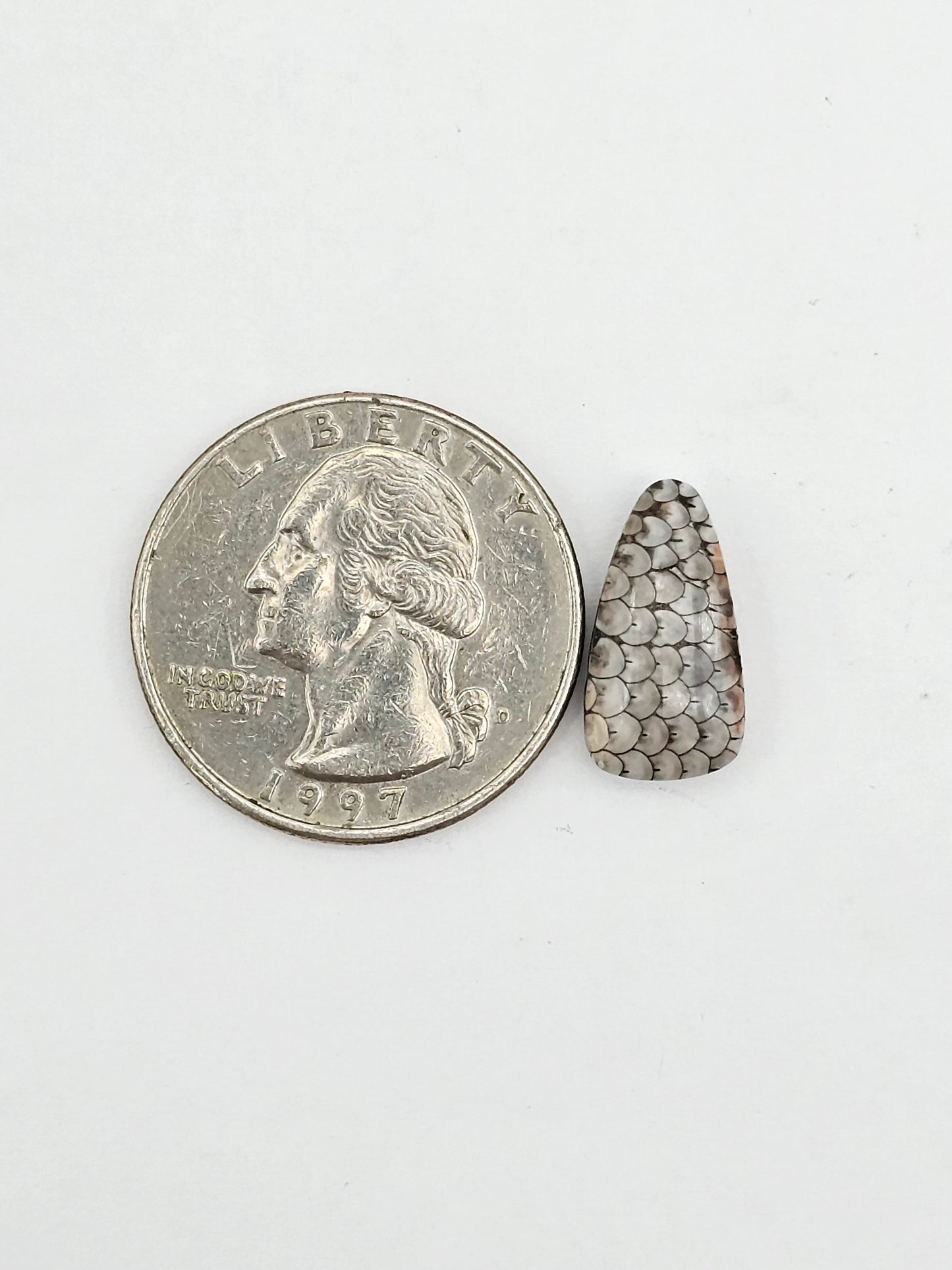 Snake skin agate cabochon