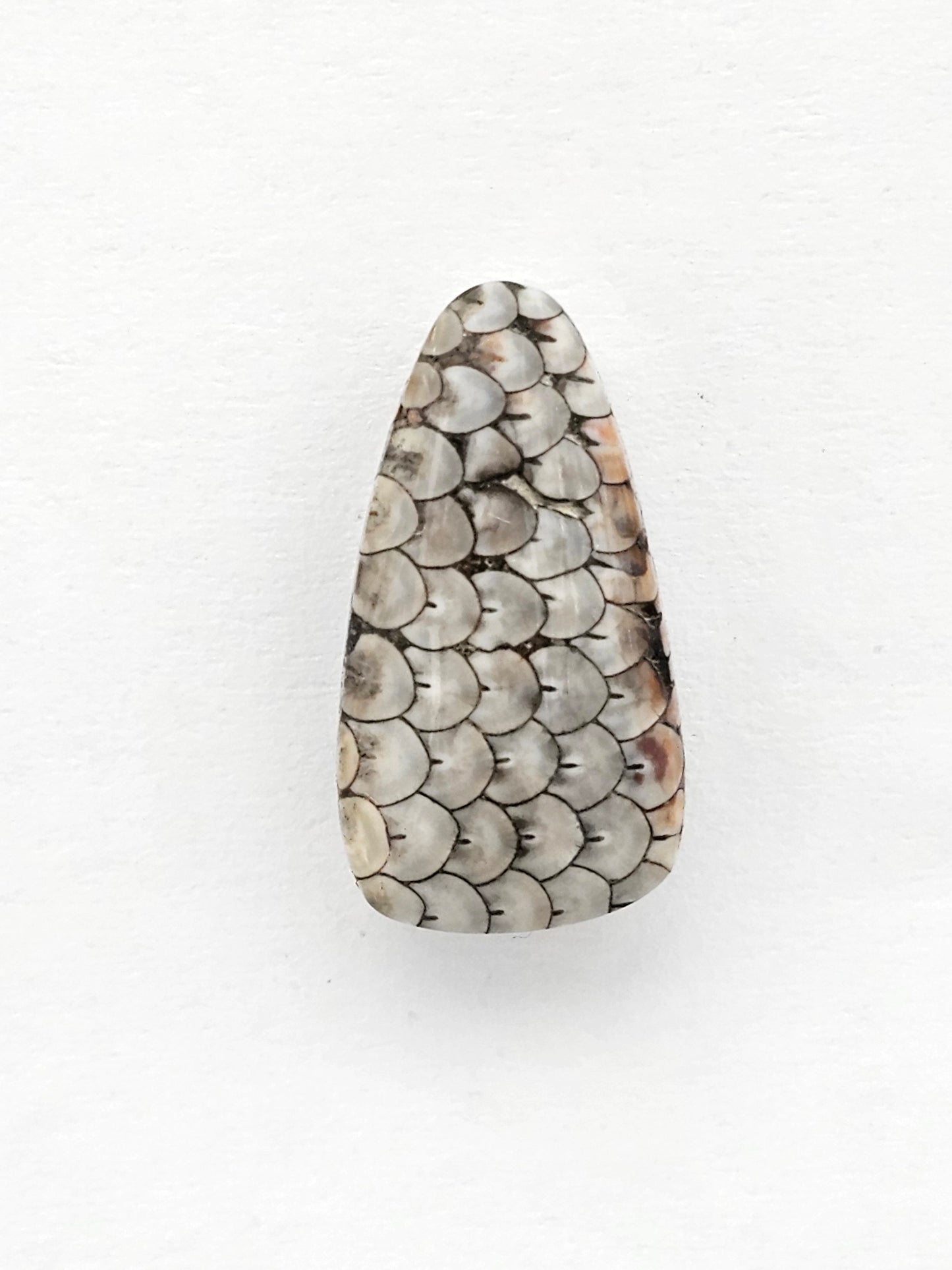 Snake skin agate cabochon