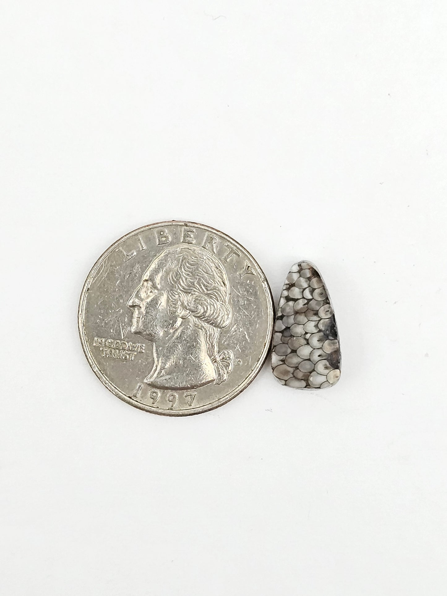 Snake skin agate cabochon