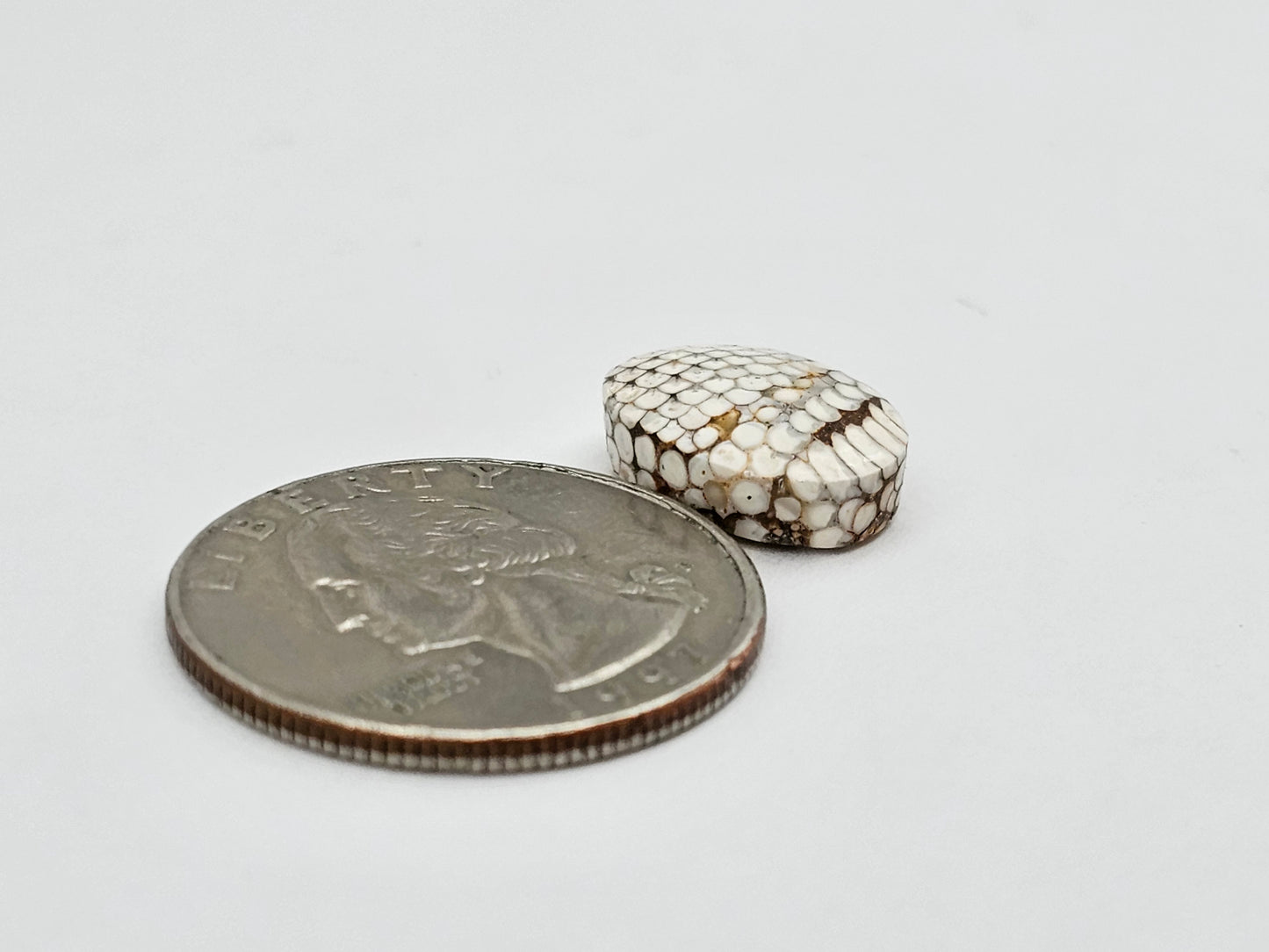 Snake skin agate cabochon