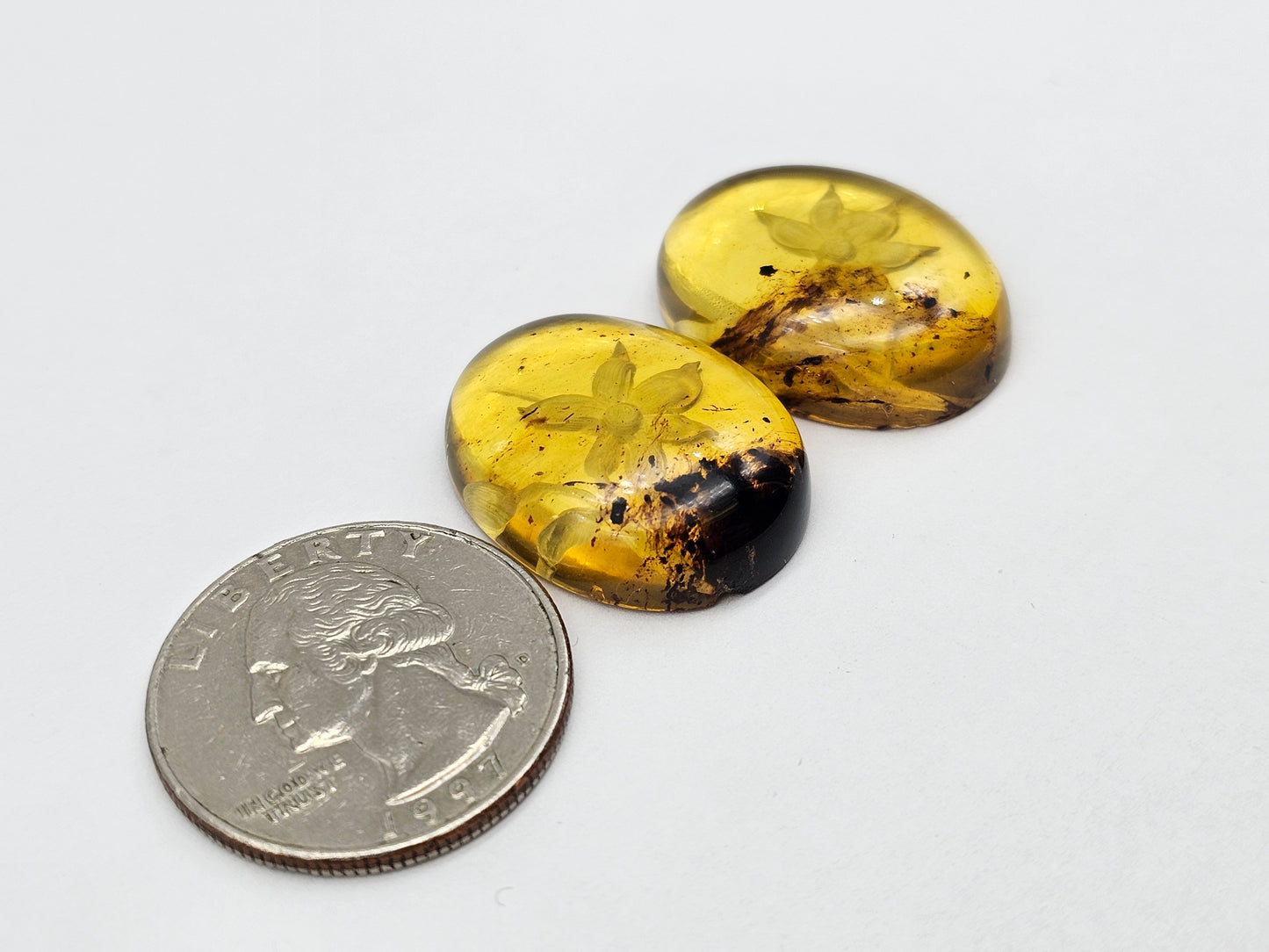 Amber authentic intaglio cabochon pair large