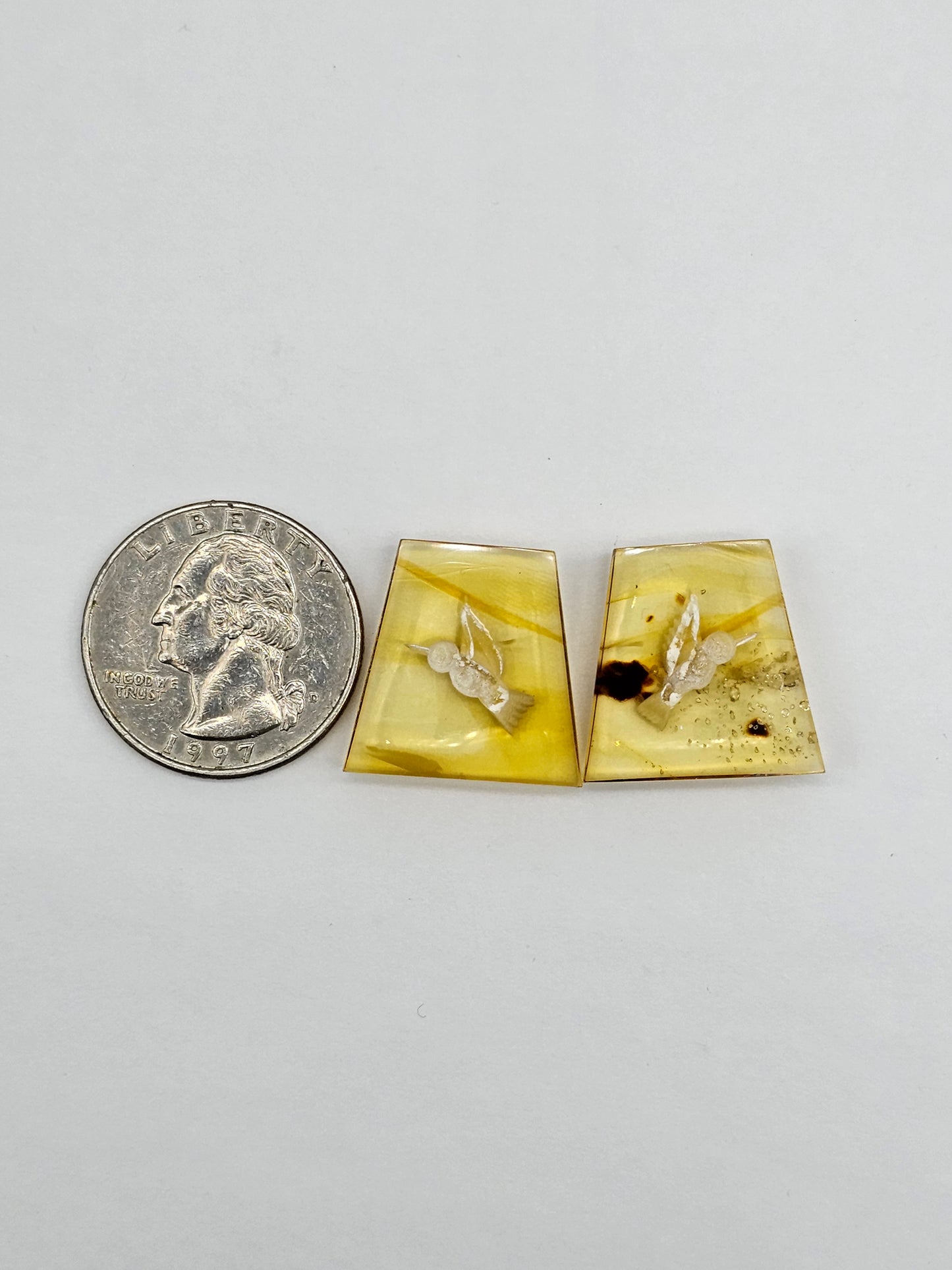 Amber authentic intaglio cabochon pair large