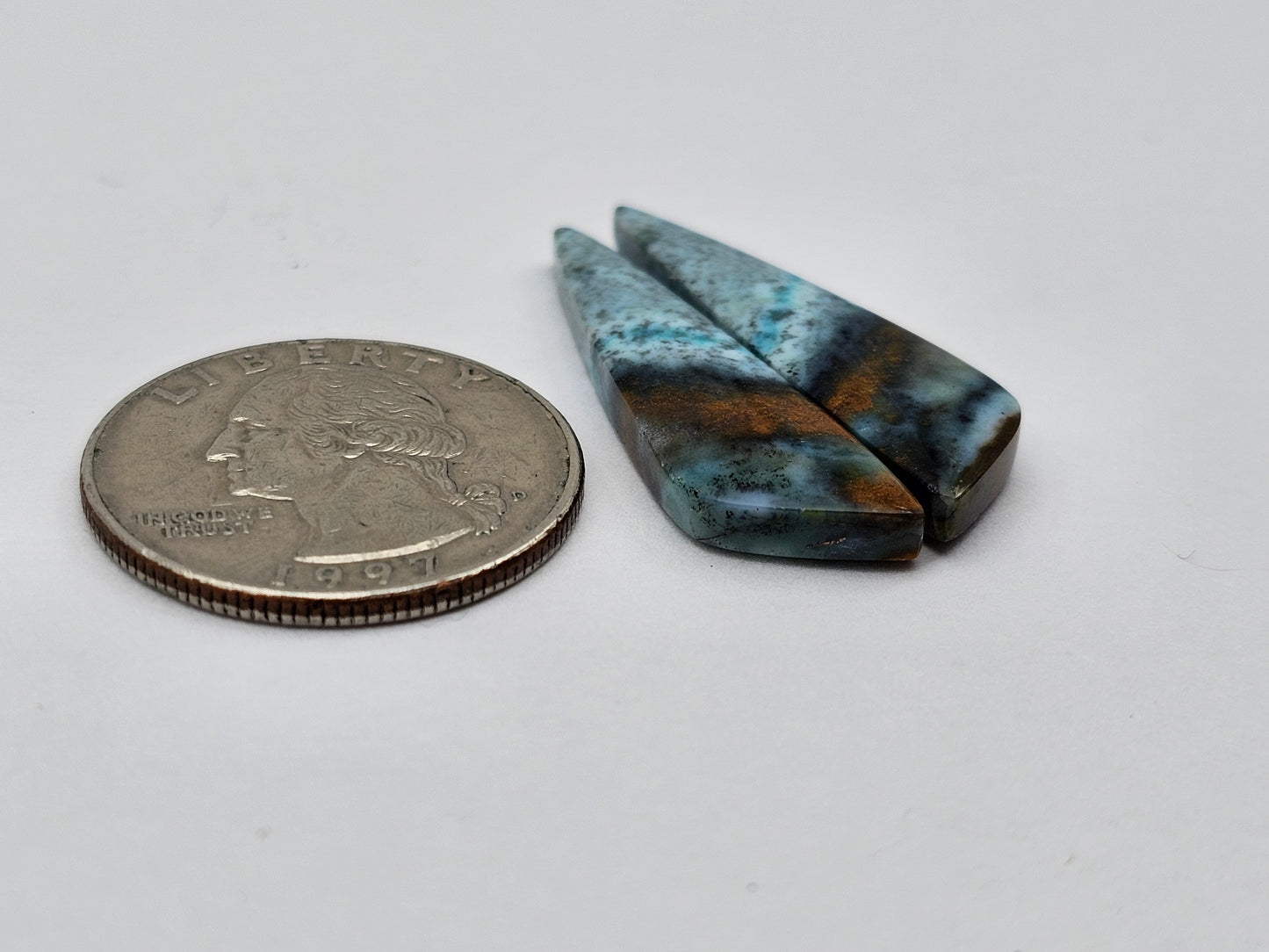 Blue opalized wood Cabochon Pair
