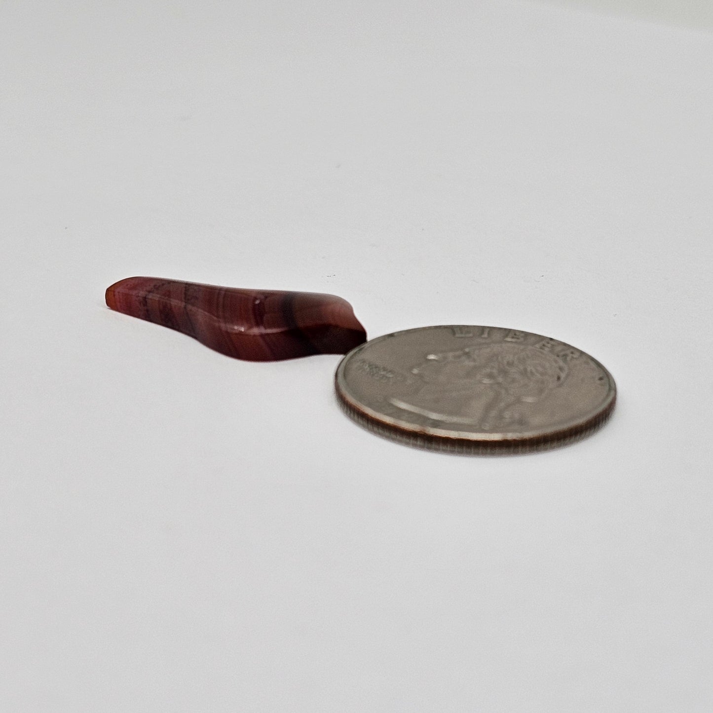 Carnelian Agate Bird Cabochon