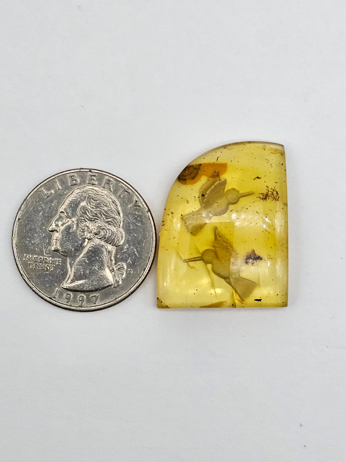 Amber authentic intaglio cabochon large