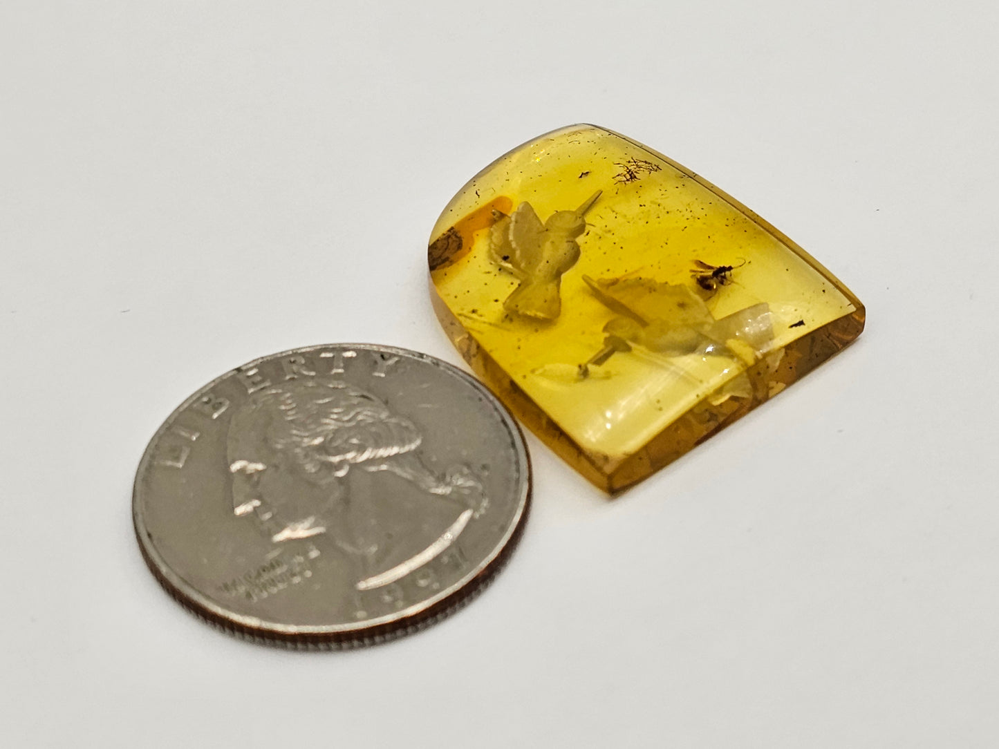 Amber authentic intaglio cabochon large