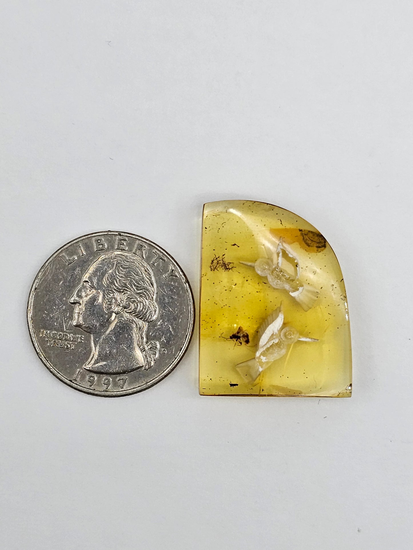 Amber authentic intaglio cabochon large