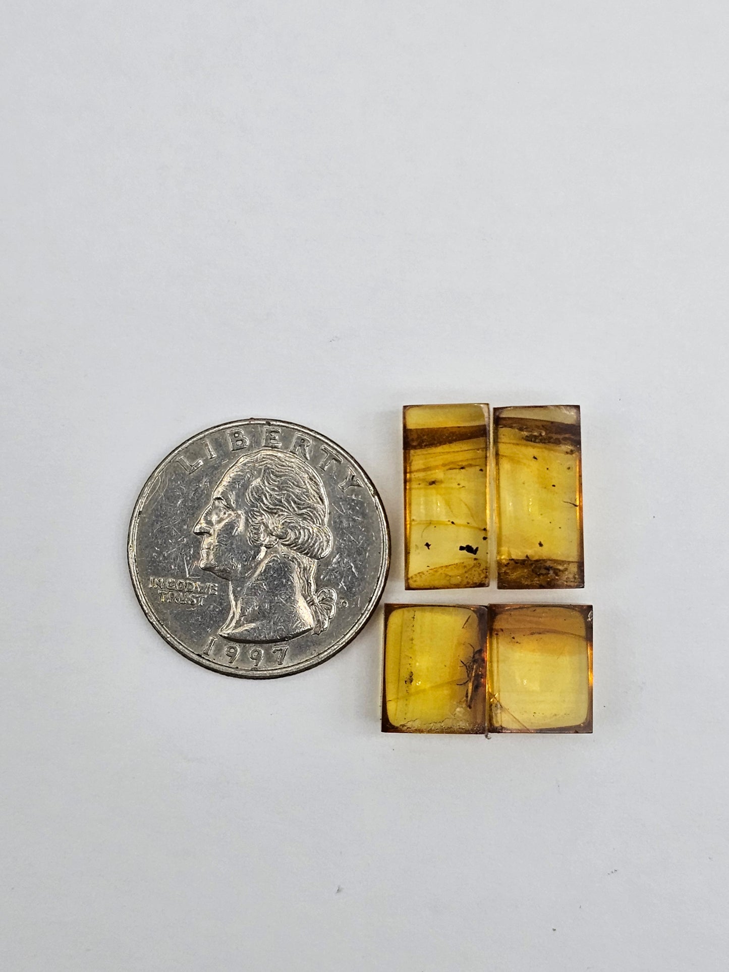 Amber authentic cabochon pair lot