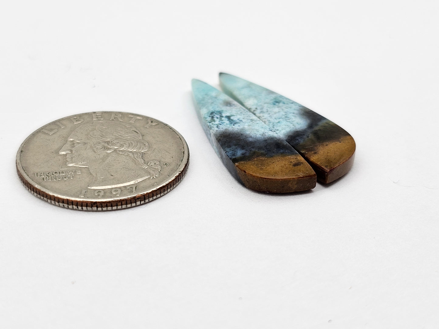 Blue opalized wood Cabochon Pair